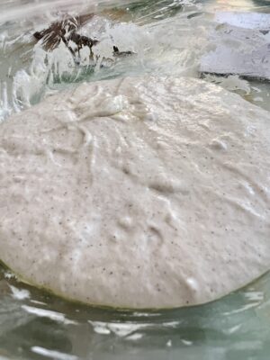 focaccia rustica senza glutine con grano saraceno e miscele naturali